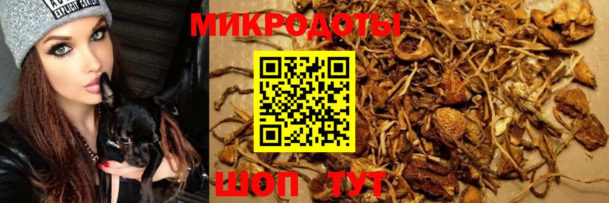 Меф   Ставрополь  ГАШ  Вход с VPN  Гашиш  Марихуана  А ПВП СК кристаллы  LSD-25 