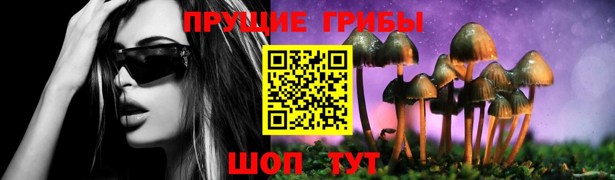 Псилоцибиновые грибы мухоморы Ставрополь
